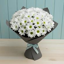Букет цветов из:  Хризантемы #REPLACE_PRED# Шарапово Чеховского района