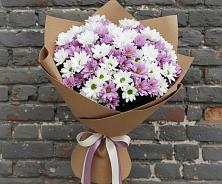 Букет цветов из:  Хризантемы в Шарапово Чеховского района