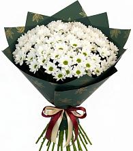 Букет цветов из:  Хризантемы в Шарапово Чеховского района