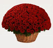 Премиум букет из: Розы в Шарапово Чеховского района