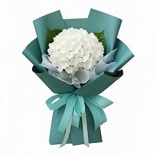 Букет цветов из:  Гортензия в Шарапово Чеховского района